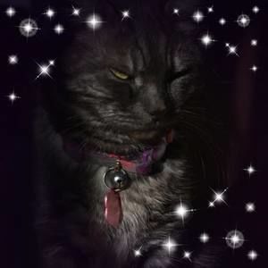 Meet your Posher, Isabelle rivard